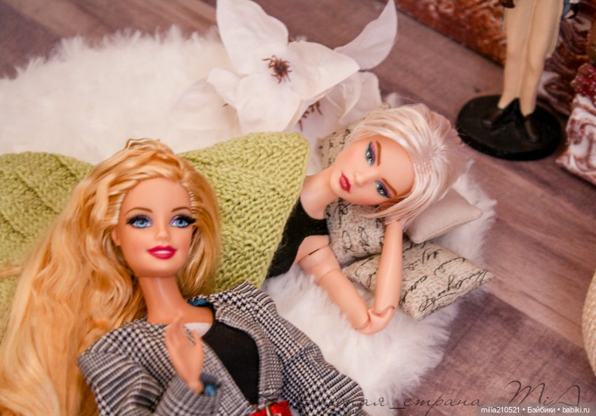 Куда приводят мечты — Куклы Barbie (Барби): Looks