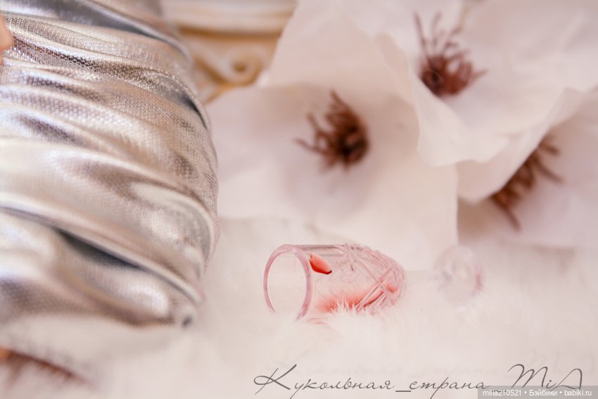 Куда приводят мечты — Куклы Barbie (Барби): Looks