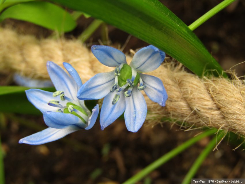 Тони Старк: приключения без брони. Ханами по-нашему