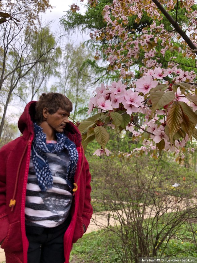 Тони Старк: приключения без брони. Ханами по-нашему (фото 2)