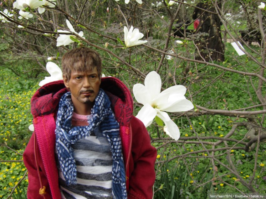 Тони Старк: приключения без брони. Ханами по-нашему