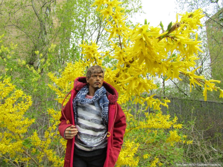 Тони Старк: приключения без брони. Ханами по-нашему