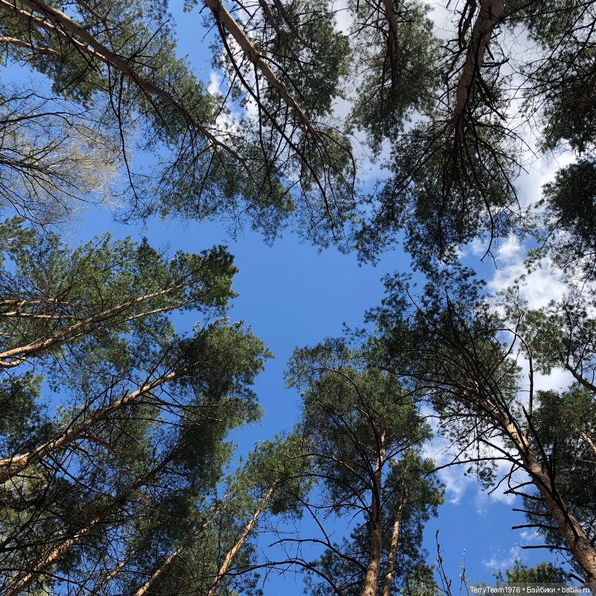 Мой райON — Коллекционные экшн