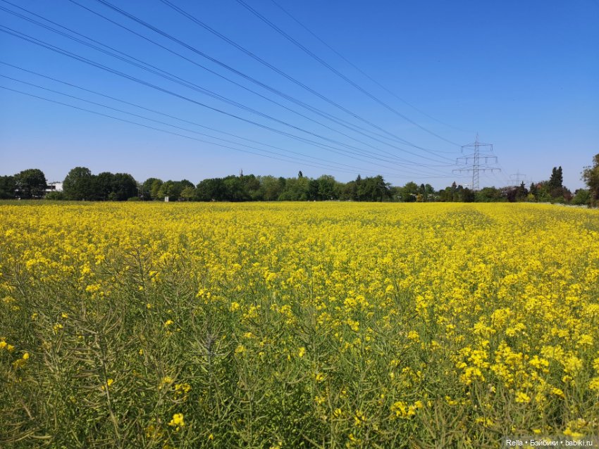 Глаза цвета "Steiff", Freja Götz, Chosen 2022