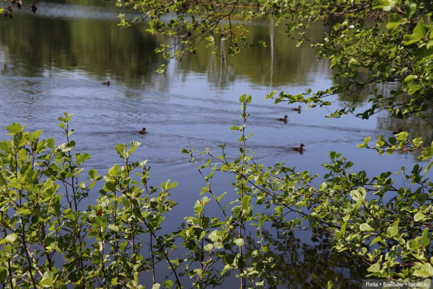 Глаза цвета "Steiff", Freja Götz, Chosen 2022