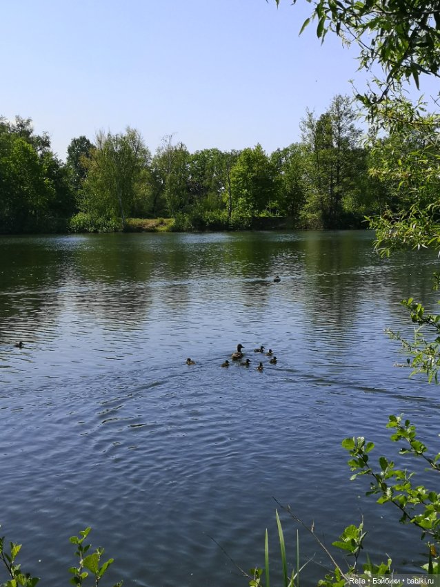 Глаза цвета "Steiff", Freja Götz, Chosen 2022