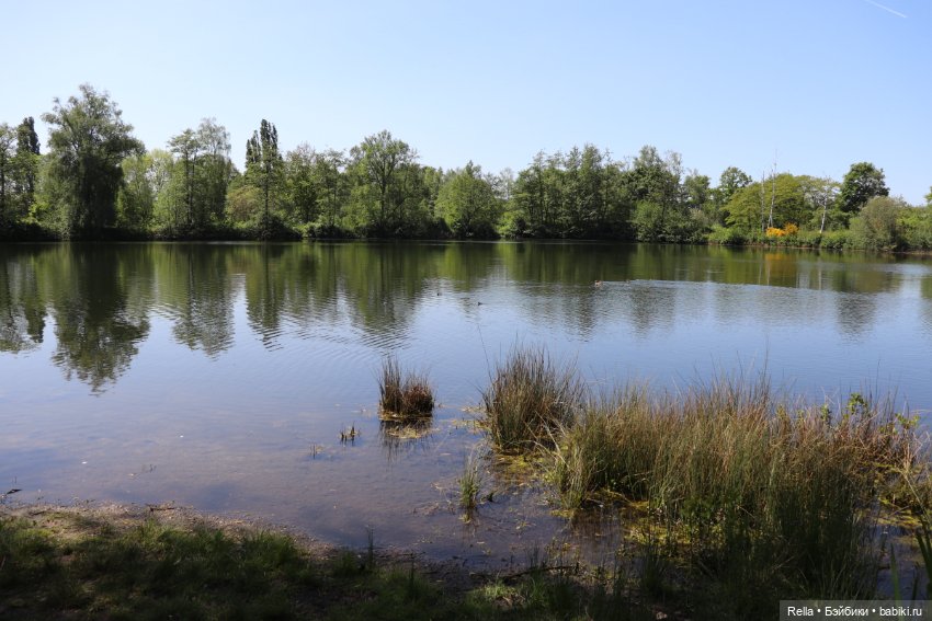 Глаза цвета "Steiff", Freja Götz, Chosen 2022