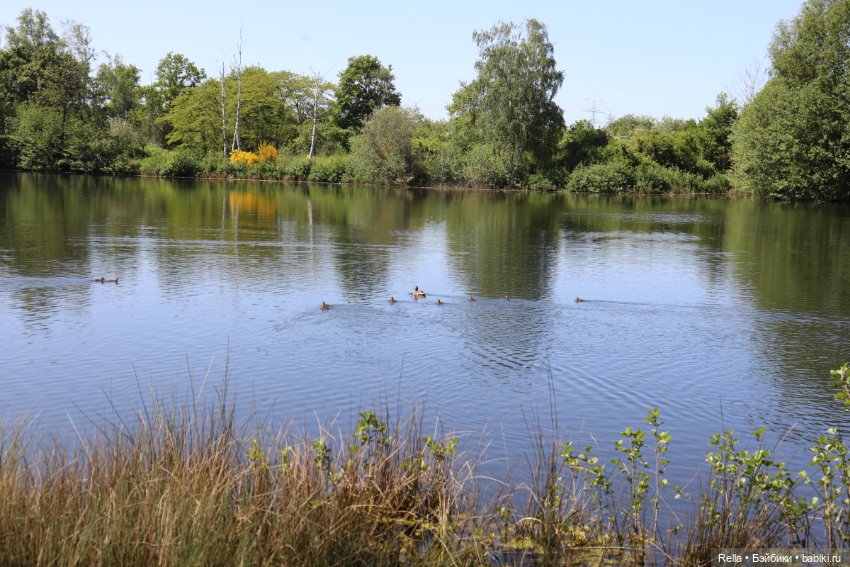 Глаза цвета "Steiff", Freja Götz, Chosen 2022