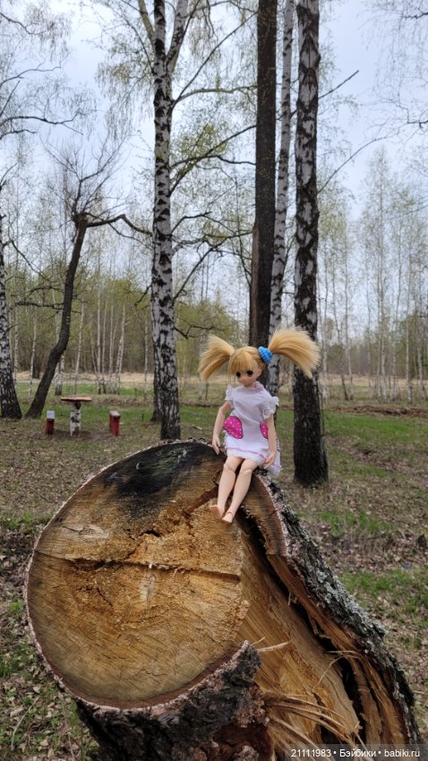 И снова Алиска🙂 — Аниме куклы (MJD/Винил): Imomo (фото 6)