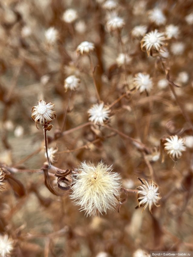 Выходные на даче с фигурками (фото 9)