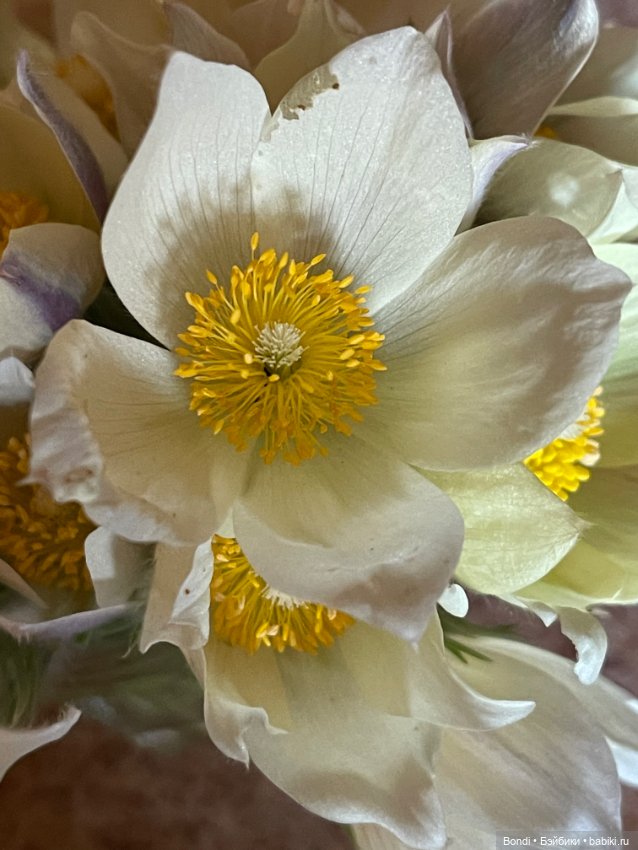 Выходные на даче с фигурками