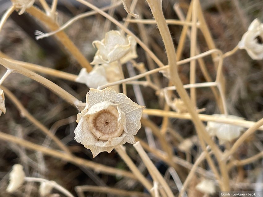 Выходные на даче с фигурками