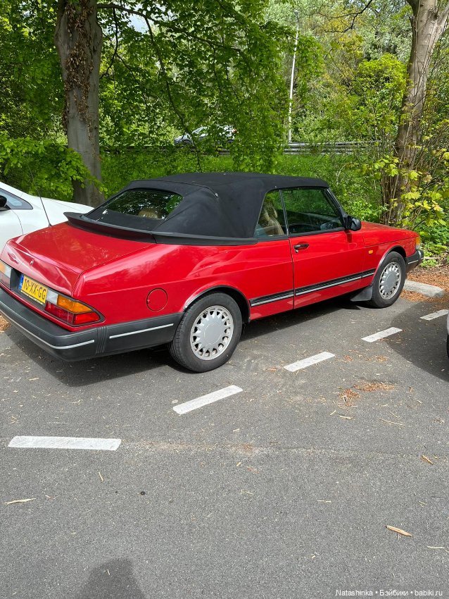 Fashion Dolls 355 — Туризм и путешествия: фотоотчеты из поездок