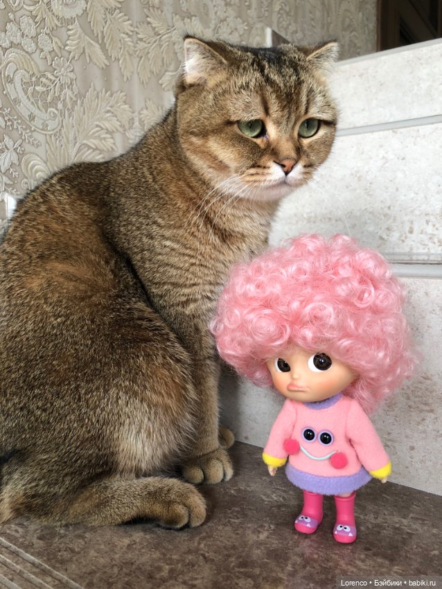 Никомунездрасьте — Разные шарнирные куклы (не БЖД): редкие