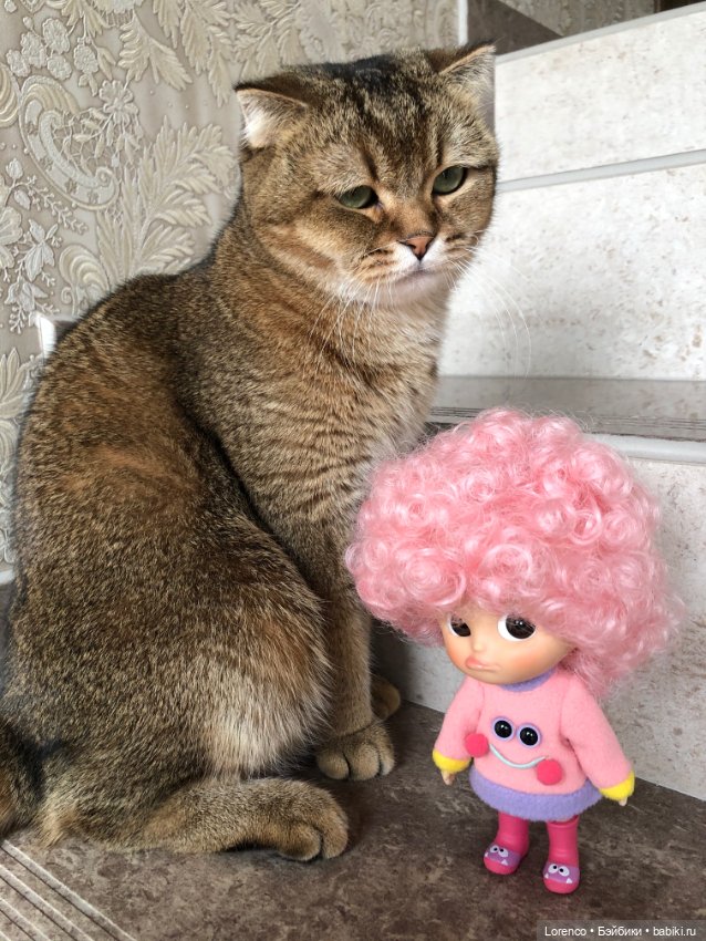 Никомунездрасьте — Разные шарнирные куклы (не БЖД): редкие