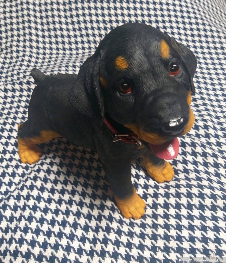 Маленькая реставрация добермана (фото 7)