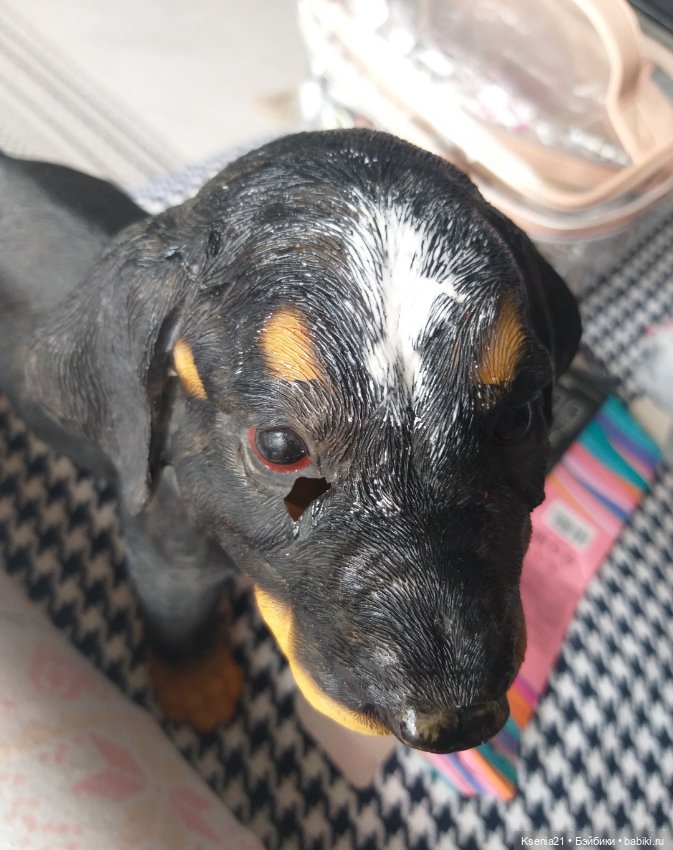 Маленькая реставрация добермана (фото 3)