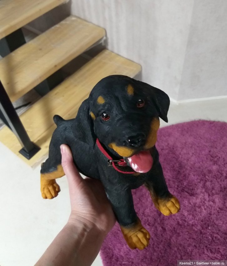 Маленькая реставрация добермана