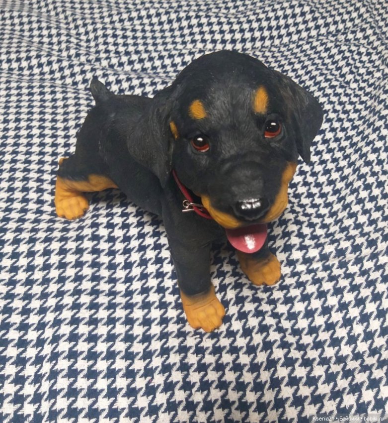 Маленькая реставрация добермана (фото 8)