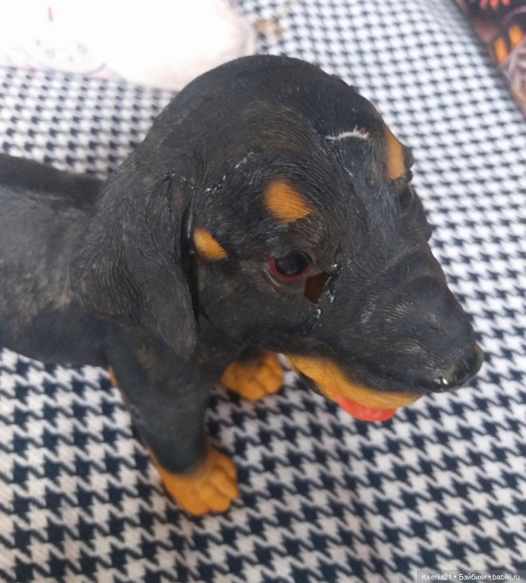 Маленькая реставрация добермана