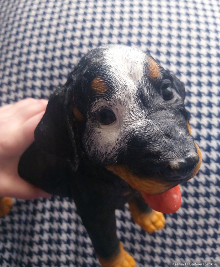 Маленькая реставрация добермана (фото 5)