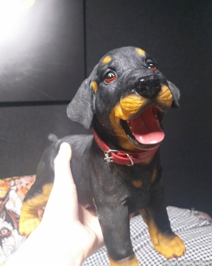 Маленькая реставрация добермана