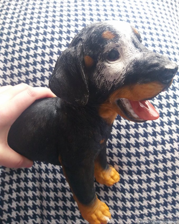 Маленькая реставрация добермана (фото 6)