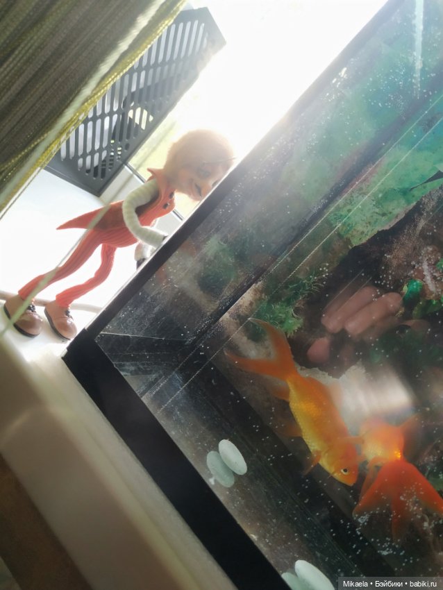 Один мой день... с таракашей (фото 2)