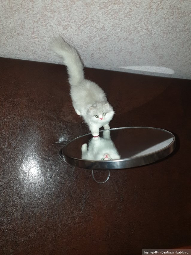 Авторские куклы BJD (БЖД) у нас дома: фото (фото 7)