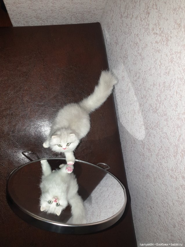 Авторские куклы BJD (БЖД) у нас дома: фото (фото 2)