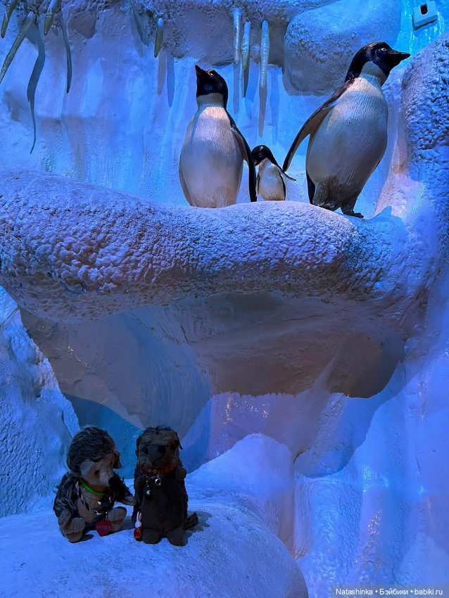 Fashion Dolls 356 — Туризм и путешествия: фотоотчеты из поездок