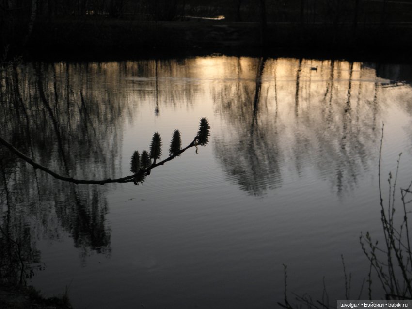 Наконец-то май в Москве — Игровые куклы разных производителей (Разное): редкие бренды