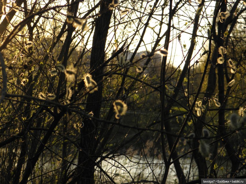 Наконец-то май в Москве — Игровые куклы разных производителей (Разное): редкие бренды