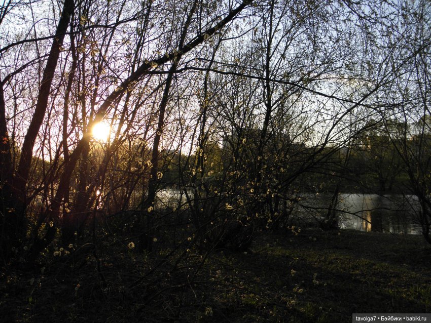 Наконец-то май в Москве — Игровые куклы разных производителей (Разное): редкие бренды