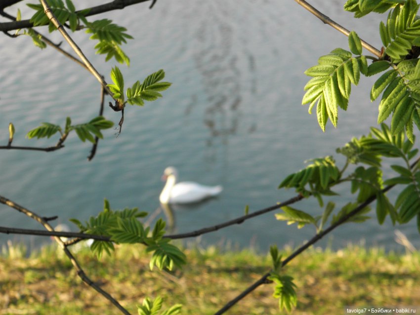 Наконец-то май в Москве — Игровые куклы разных производителей (Разное): редкие бренды (фото 8)