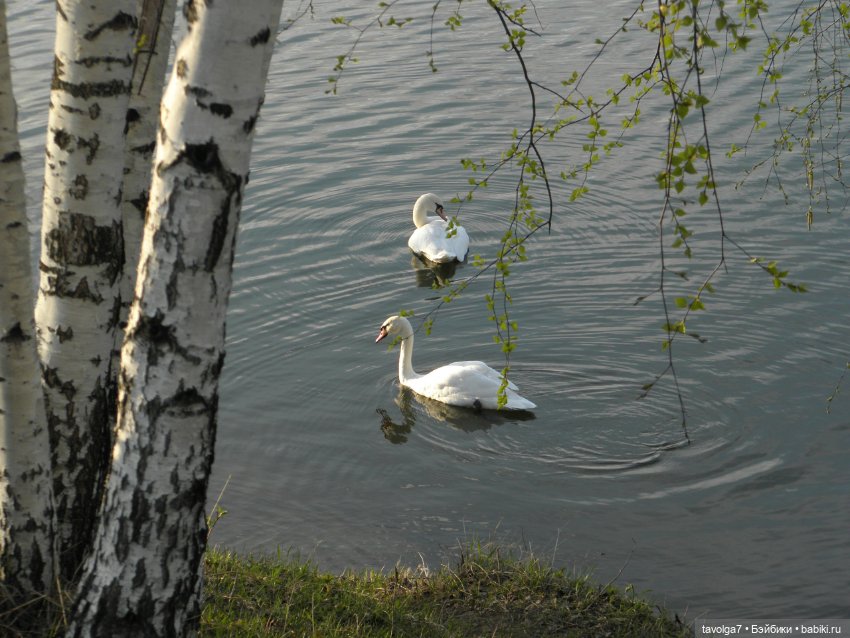 Наконец-то май в Москве — Игровые куклы разных производителей (Разное): редкие бренды