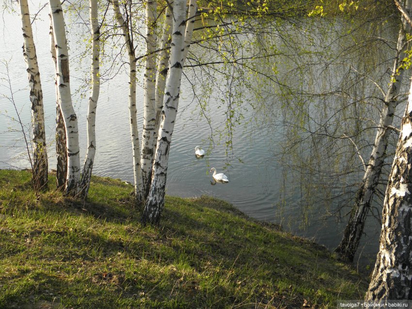 Наконец-то май в Москве — Игровые куклы разных производителей (Разное): редкие бренды (фото 5)