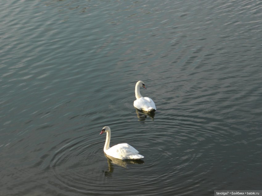 Наконец-то май в Москве — Игровые куклы разных производителей (Разное): редкие бренды (фото 6)