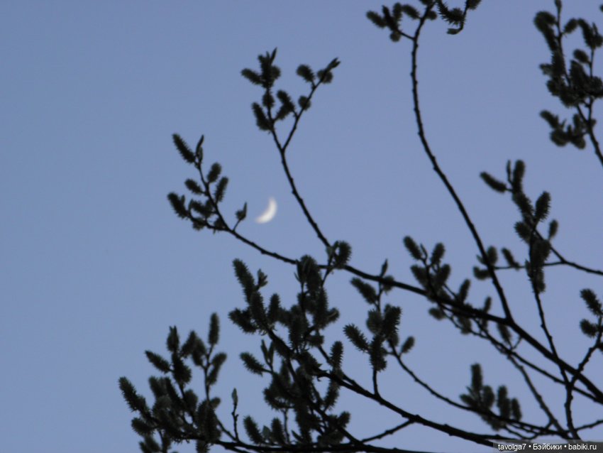 Наконец-то май в Москве — Игровые куклы разных производителей (Разное): редкие бренды