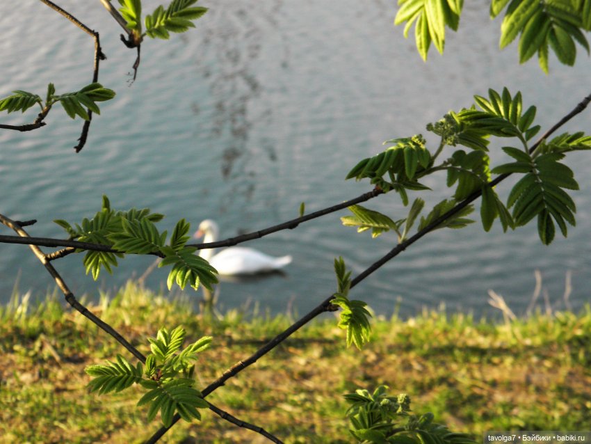 Наконец-то май в Москве — Игровые куклы разных производителей (Разное): редкие бренды (фото 7)