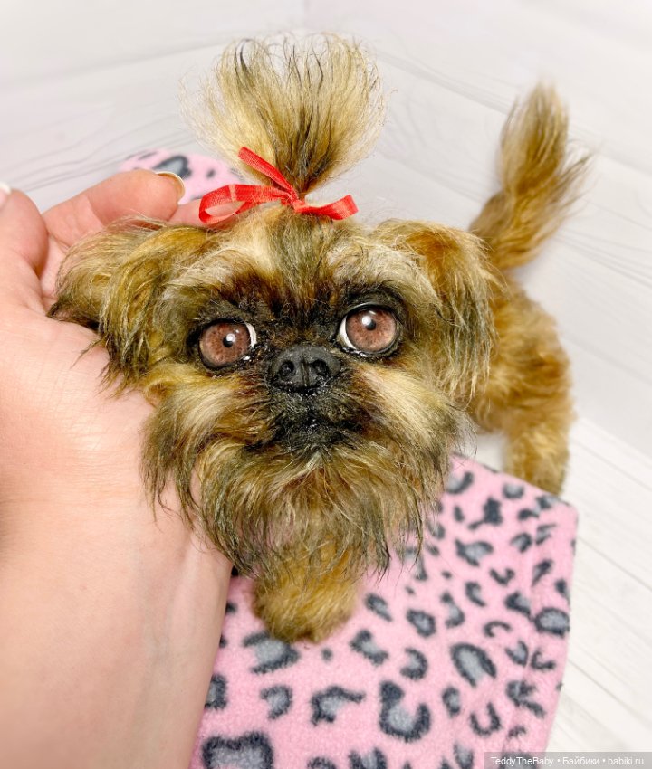 Бона ( щенок гриффона 20 см)🐾🐶