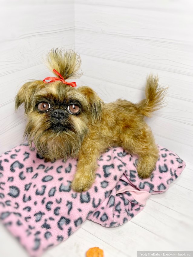 Бона ( щенок гриффона 20 см)🐾🐶 (фото 10)