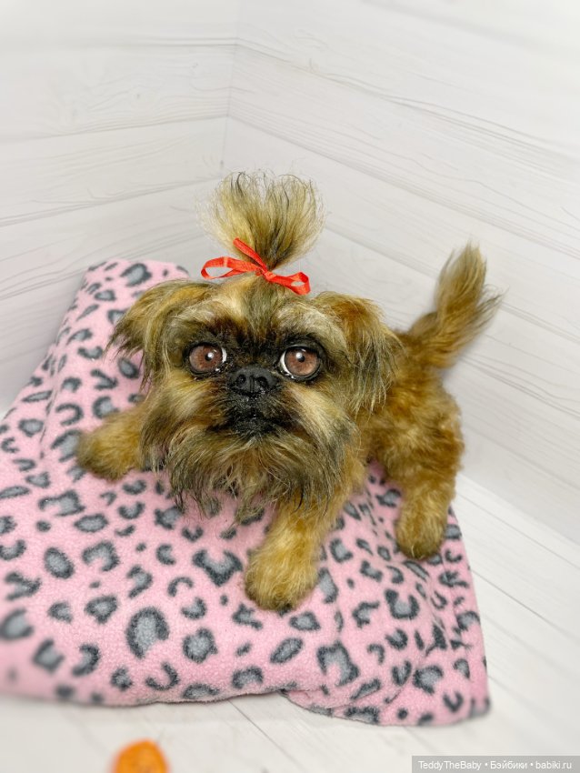 Бона ( щенок гриффона 20 см)🐾🐶