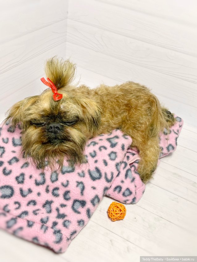 Бона ( щенок гриффона 20 см)🐾🐶 (фото 7)