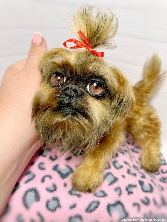 Бона ( щенок гриффона 20 см)🐾🐶