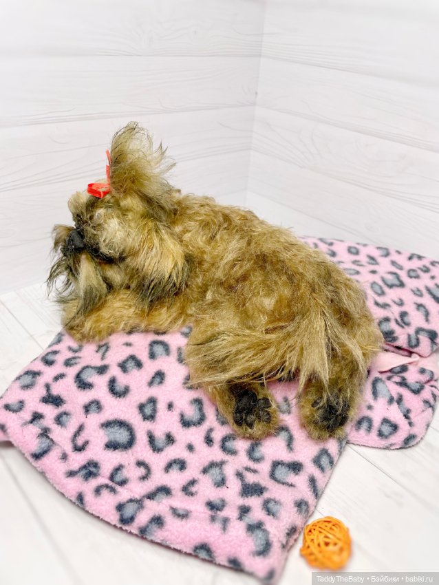 Бона ( щенок гриффона 20 см)🐾🐶 (фото 5)