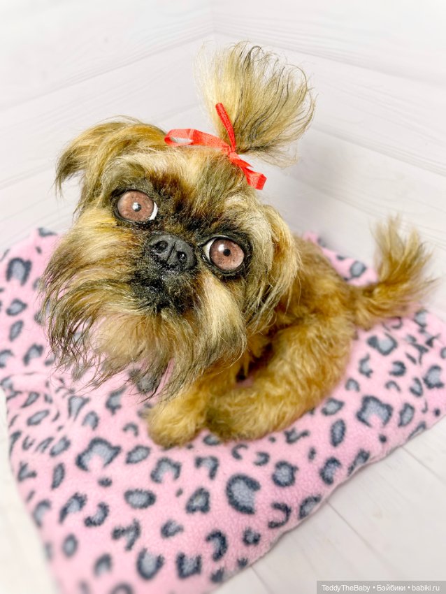 Бона ( щенок гриффона 20 см)🐾🐶