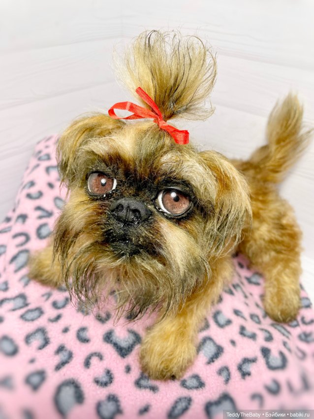 Бона ( щенок гриффона 20 см)🐾🐶