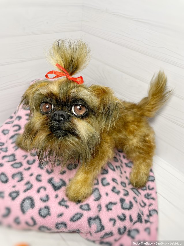 Бона ( щенок гриффона 20 см)🐾🐶