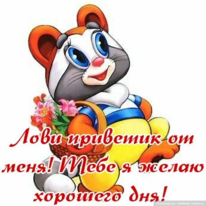 Моя любимая Кливия радует